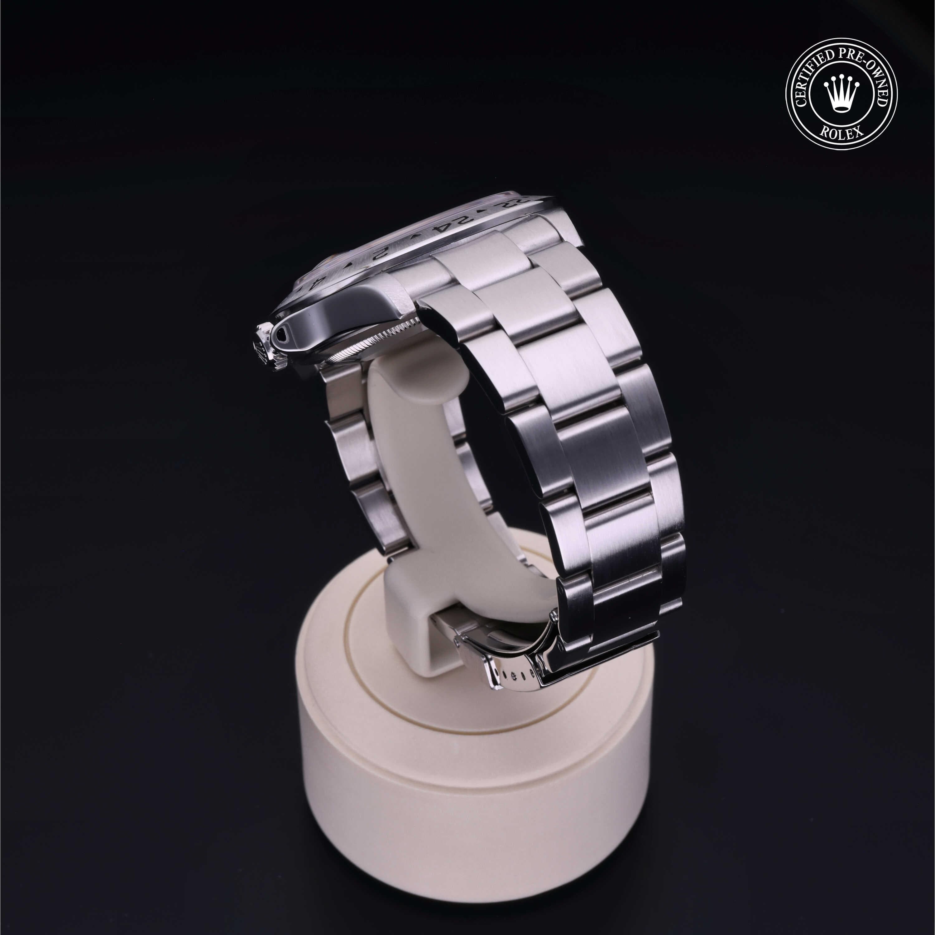 Explorer II - immagine 2