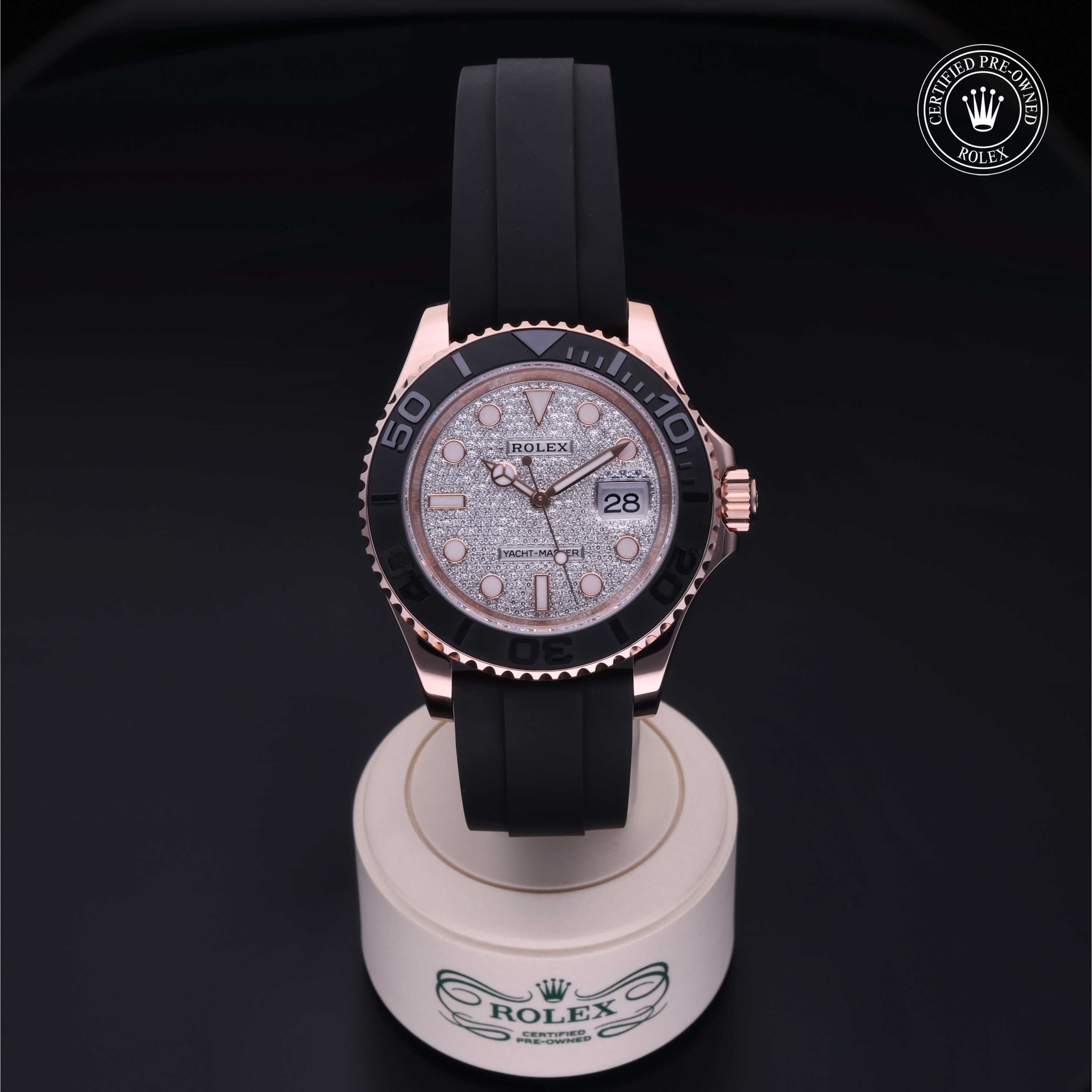 Yacht-Master - immagine 2